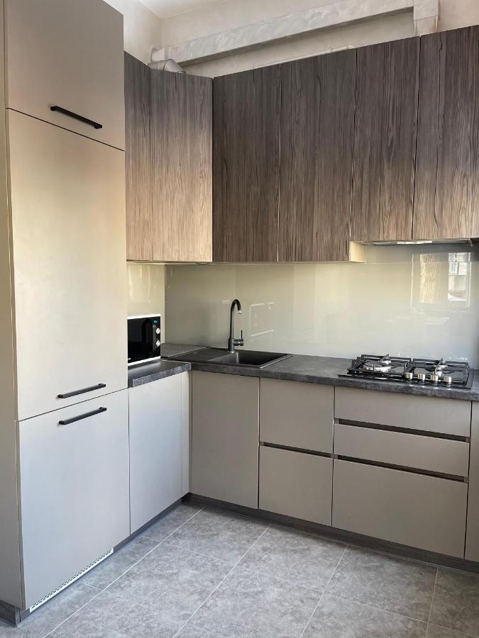 Apartment Stylish Lemberg